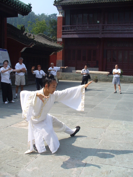 Image: /media/?path=/trips/2007-08-13 China/2007-08-21_Wudang/20070821-101132-0-Ant.jpg